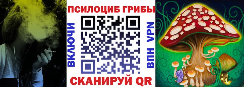 Галлюциногенные грибы Magic Shrooms  ОМГ ОМГ сайт  Кировград 