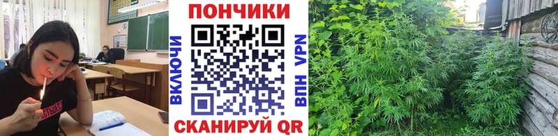 Каннабис OG Kush  Кировград 